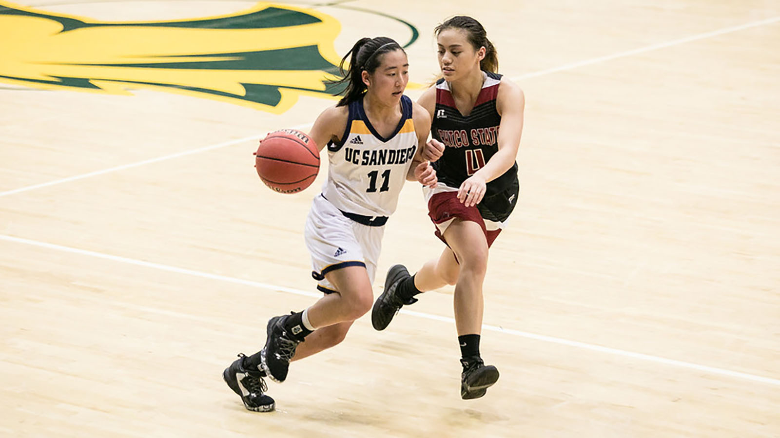 San Jose State Spartans Women's Basketball vs. UC San Diego Tritons at Provident Credit Union Event Center